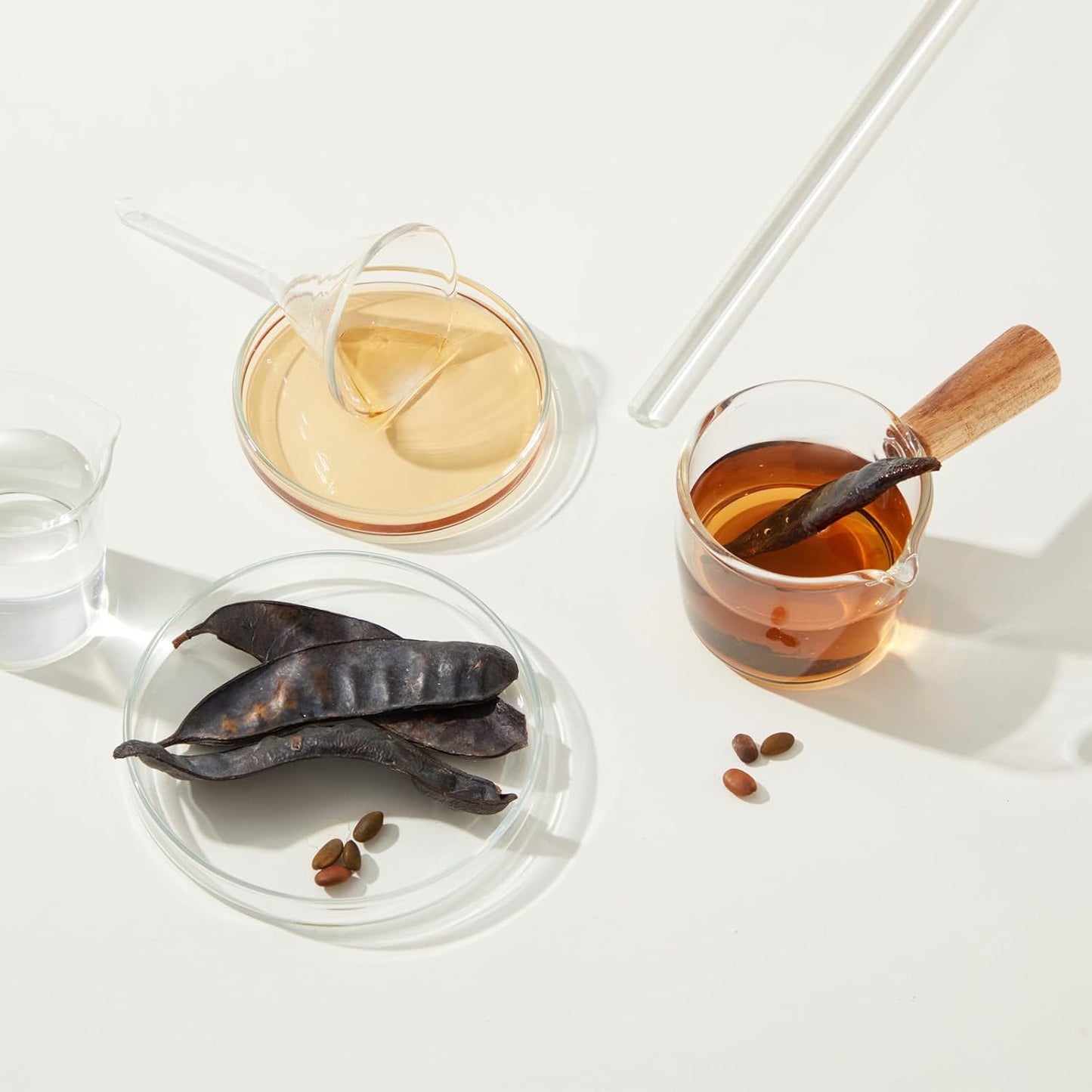 PATIKIL 3 Inch Clear Plastic Funnel, 4 Pcs Wide Mouth Multipurpose Transfer Funnel with Long Spout for Filling Water Bottle Liquid Lab Spices Powder Oil