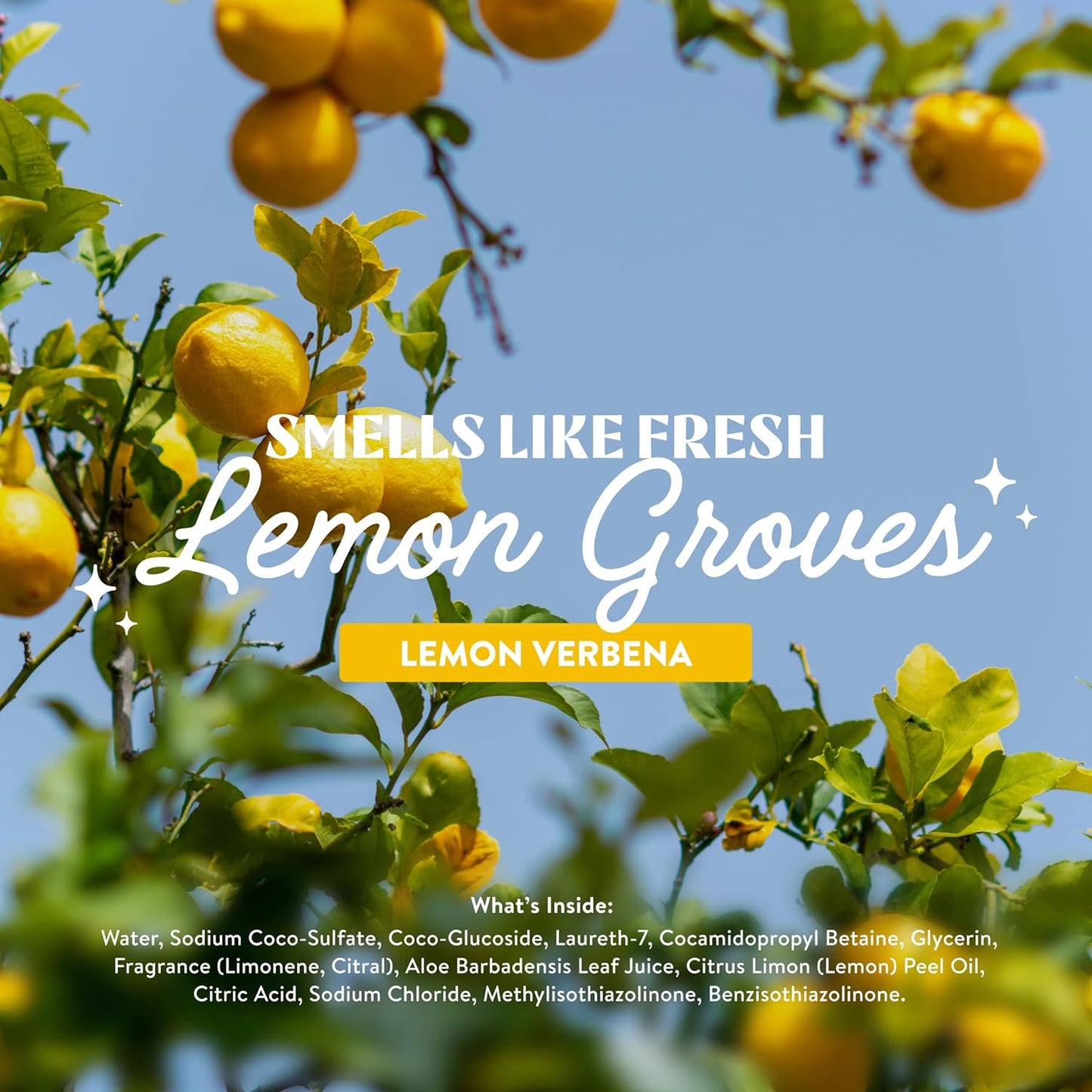 Cleancult Dish Soap Liquid Refills - Plant Based Cleaning Power - Cuts Grease & Grime - Free of Harsh Chemicals - Uses 90% Less Plastic - Lemon Verbena - 32 oz/3 Pack