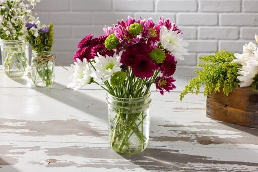 Ball Wide Mouth Glass Mason Jars with Lids and Bands, Used for Canning, Pickling, Juice, Jam, Jelly, Pint Size 16 Ounce (Pack of 4)