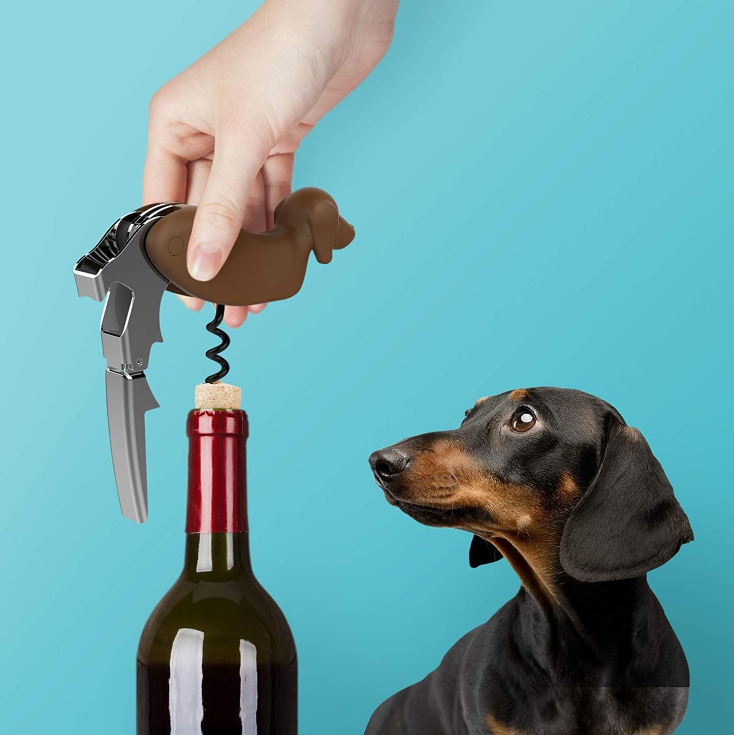 Buddy the Bordeaux Collie Black Dog Corkscrew, Professional Waiters Corkscrew Wine Key Bottle Opener,Manual Wine Key for Servers, Waiters, Bartenders and Home Use(Buddy Dog)