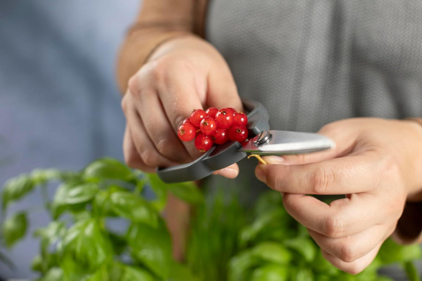 Kuhn Rikon Kitchen Shears Compact