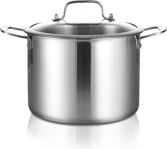 DELARLO Tri-Ply Stainless Steel Soup Pot 12QT, Tri-ply Big Pots for Cooking, 18/10 whole clad Stainless Steel Pot, Fast Even Heat, 12 QT Stock cookware with Lid, Pasta Pot, Induction Ready Up to 600℉