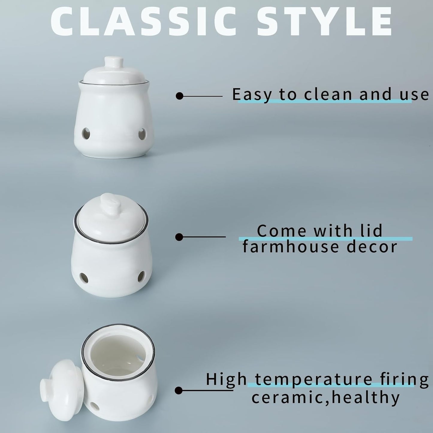 HAOTOP Ceramic Mini Garlic Keeper with Lid, Garlic Container Saver for Countertop, Keep Your Garlic Cloves Fresh (White)