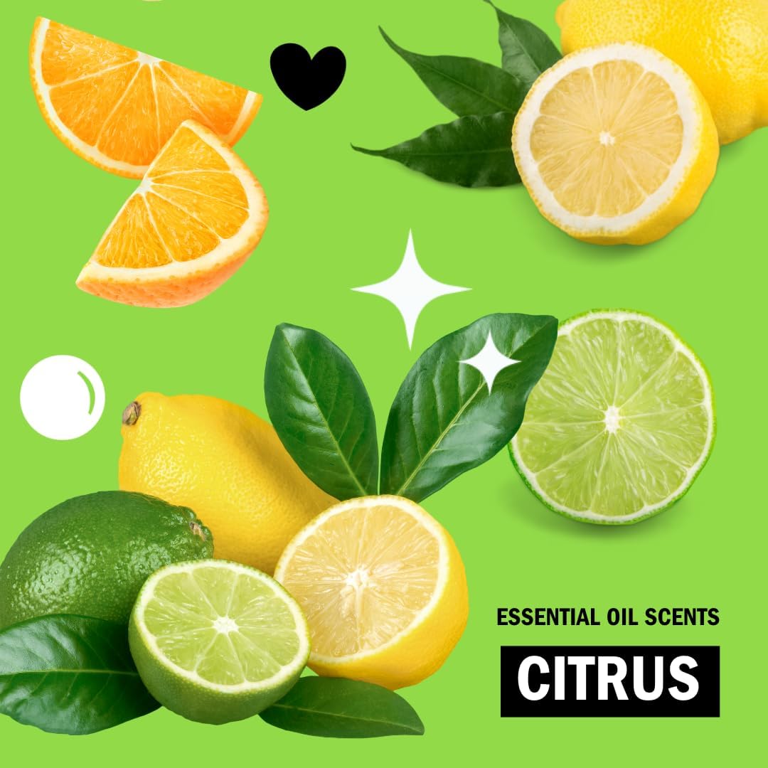 Molly's Suds Dishwasher Powder | Clean Dishwasher Detergent, Cuts Grease & Rinses Clean (Residue-Free) for Sparkling Dishes | 60 Loads (Citrus)