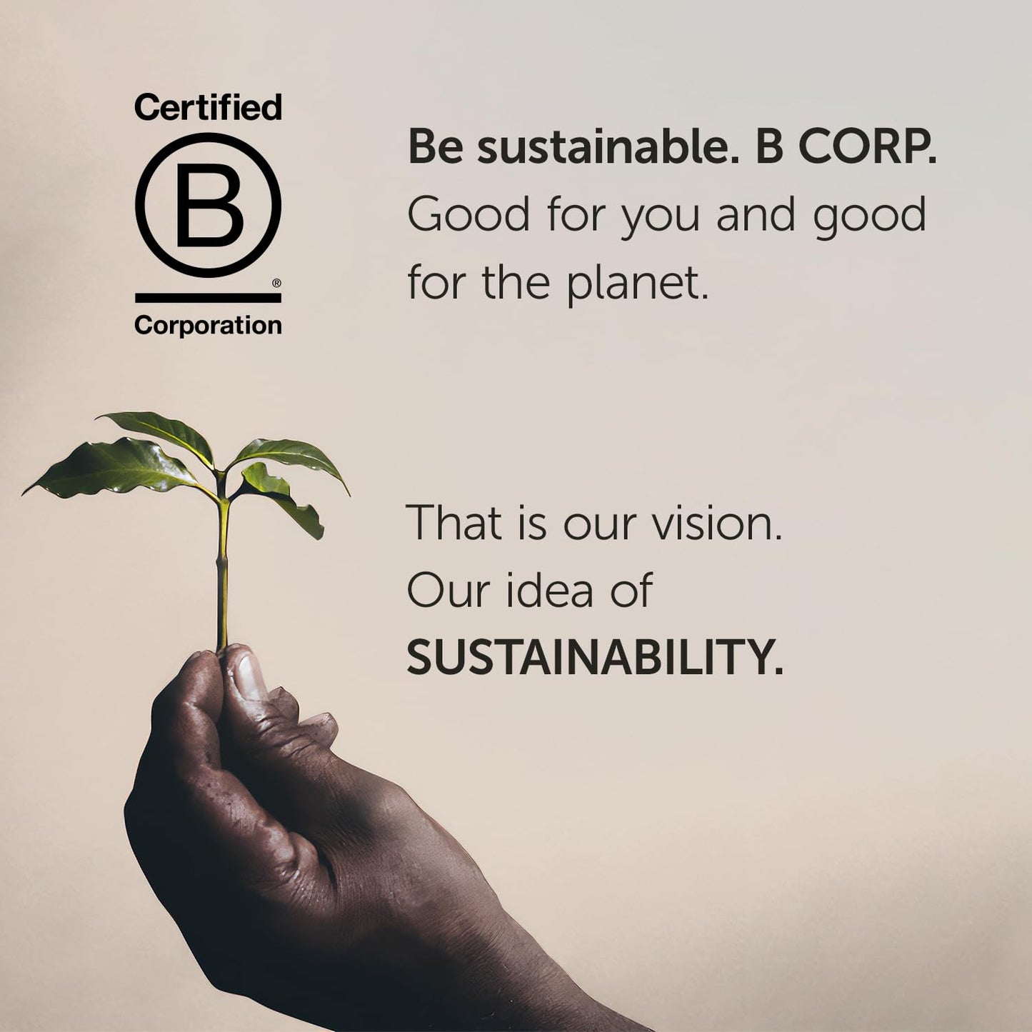 illy Whole Bean Coffee - Perfectly Roasted – Classico Decaf Roast - with Notes of Caramel, Toasted Bread & Chocolate - 100% Arabica Beans - No Preservatives – 8.8 Ounce, 6 Pack