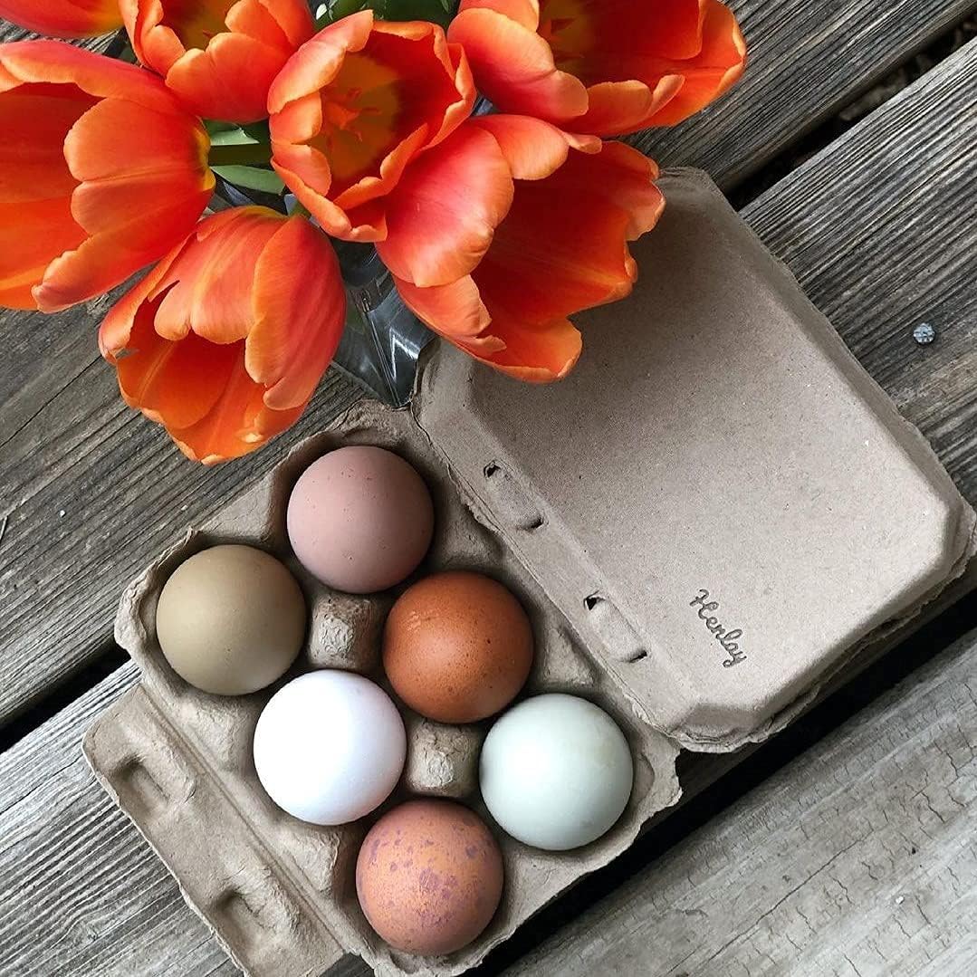 Half Dozen Blank Egg Cartons – 6-Pack Flat Top Half-Dozen Holder, Recyclable Pulp, Ideal for Farm-Fresh Eggs, DIY Custom Labeling, Eco-Friendly Storage - 20 Pack