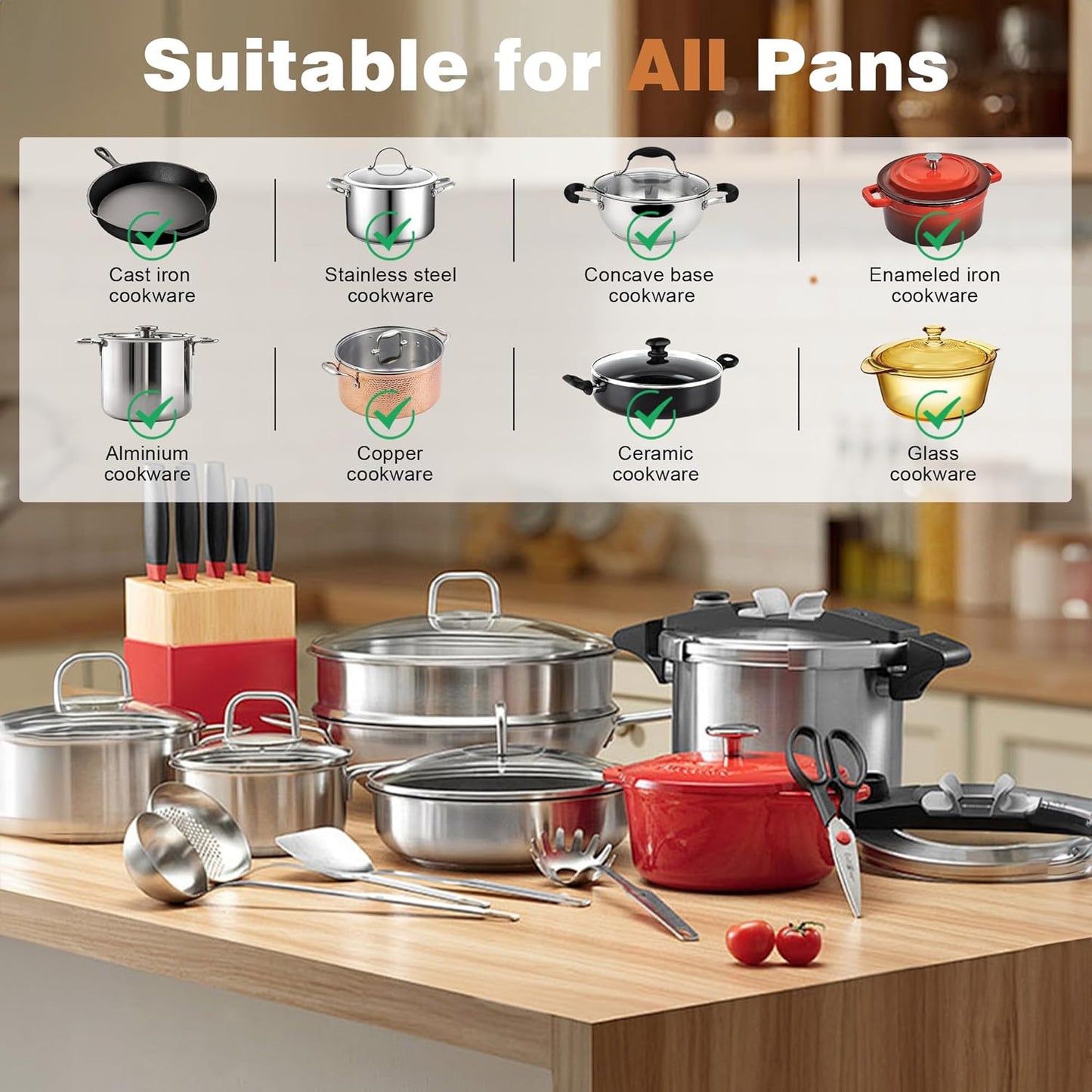 2 Burner Electric Cooktop 110V - 24 Inch Countertop Electric Stove with Handles 2000W, Two Burner Ceramic Burner with LCD Touch Screen and Knob Control, Timer, Safety Lock, 120V Plug in