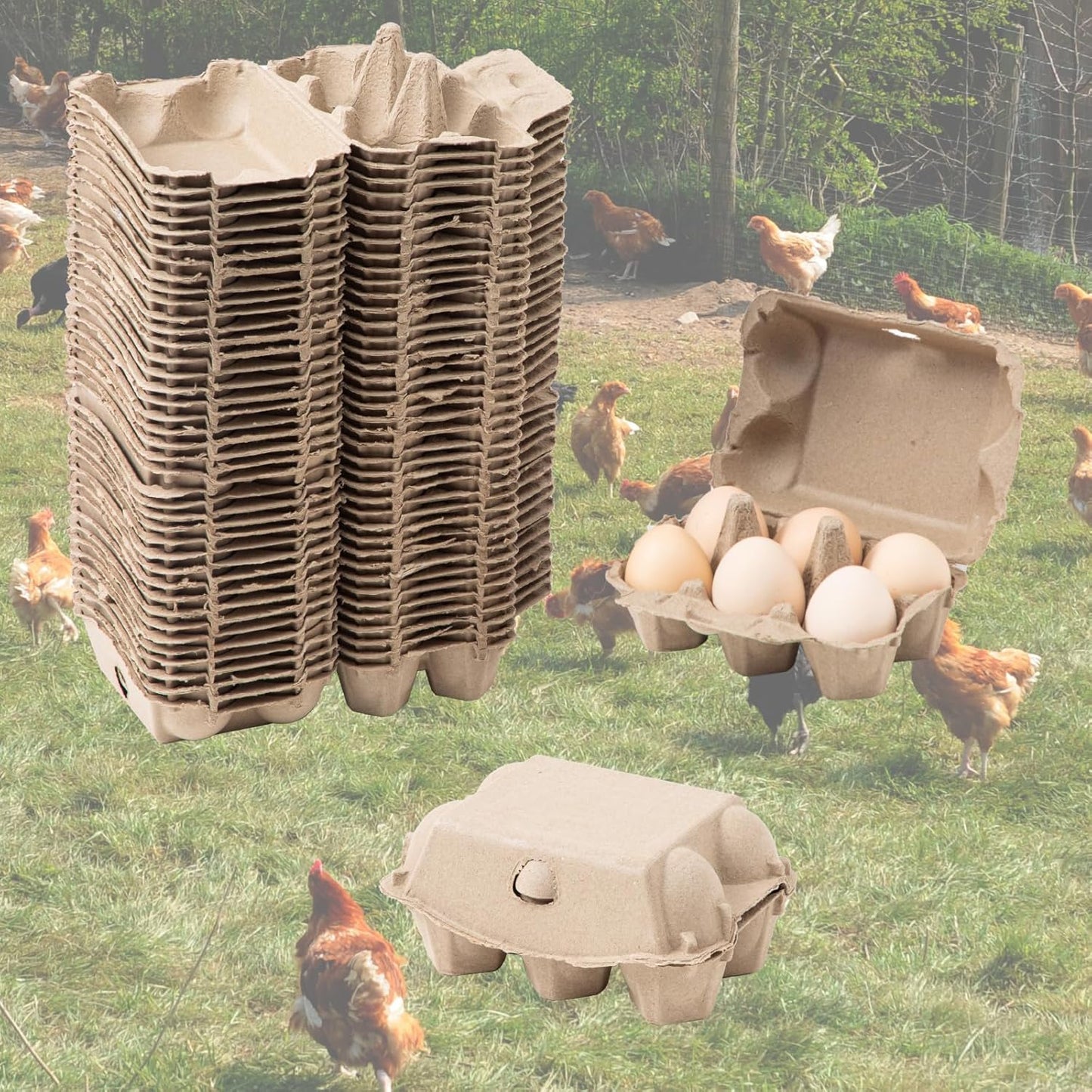 40 Pack Egg Cartons Cheap Bulk, 6 Count Egg Storage Containers Holder, Sturdy Natural Pulp Material Perfect for Storing Extra Eggs
