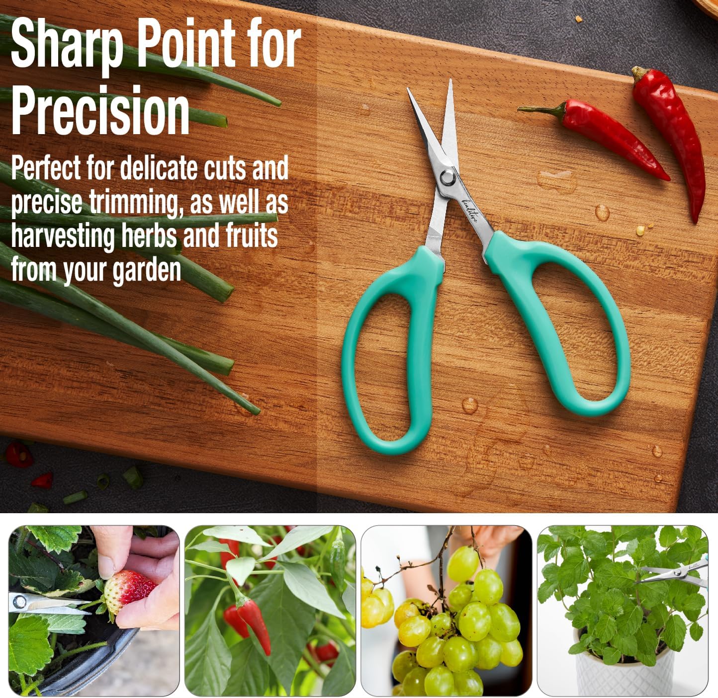 Beaditive Culinary Herb Scissors - Compact 6.5-Inch Stainless Steel Kitchen Scissors - Dishwasher Safe - Sharp Tip for Snipping Fresh Herbs