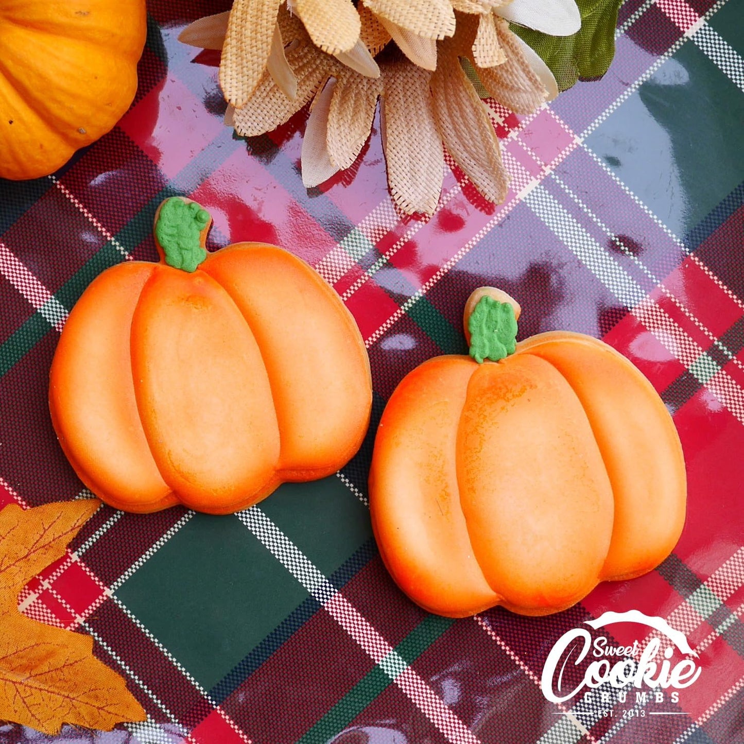 Pumpkin Cookie Cutter 3 Piece Set, Premium Food-Grade Stainless Steel, Dishwasher Safe