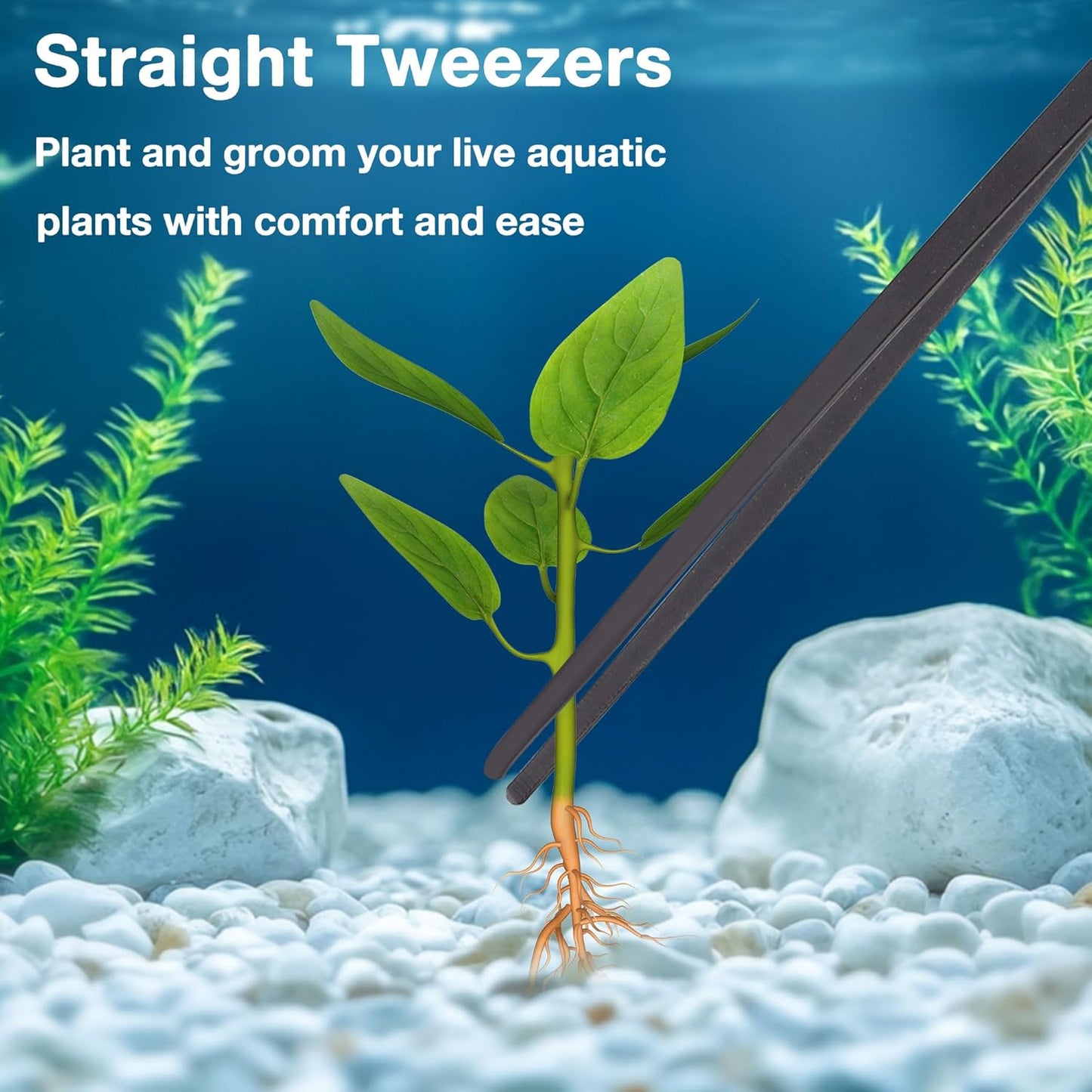 2Pcs Long Turkey Baster for Aquarium, with 2Pcs Feeding Long Tweezers Coral Feeder Kit for Aquarium Marine Fish Reef Aquatic Plant Spider Snake Lizard (Blue)