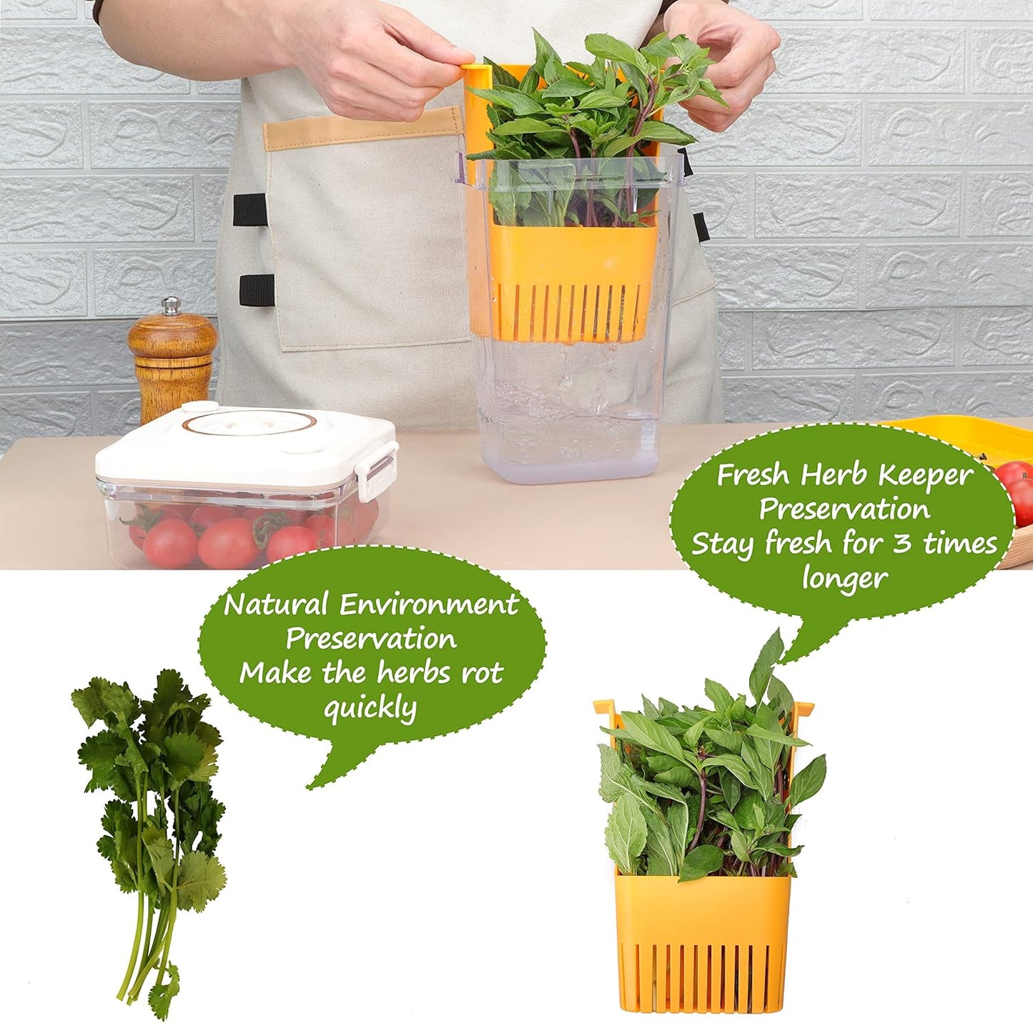 3 Pack Fresh Herb Keeper for Refrigerator, Clear BPA-Free Herb Saver, Storage Container for Cilantro, Parsley, Thyme, Mint & Asparagus, Preserver Keeps Fresh Herbs, Green & Blue & Orange
