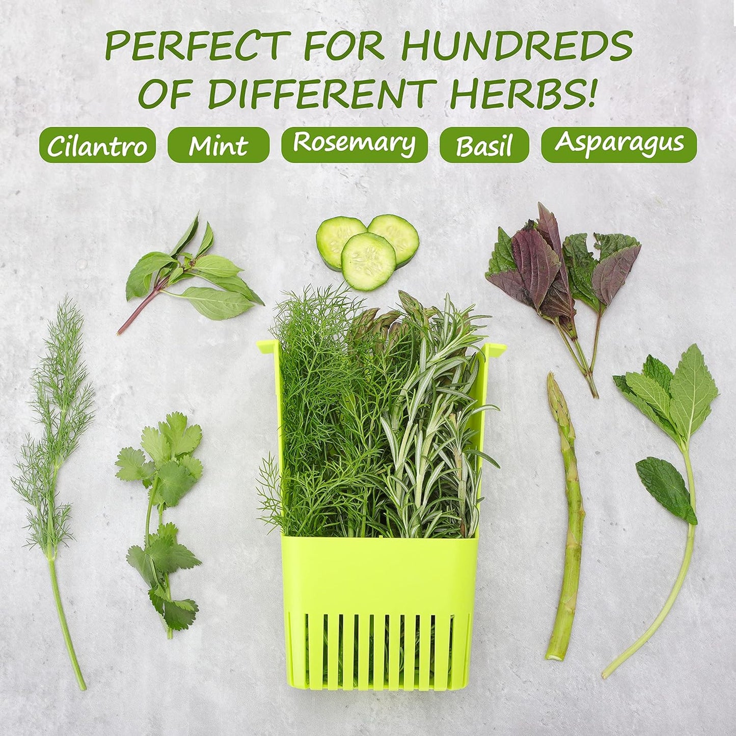 2 Pack Fresh Herb Keeper for Refrigerator, Clear BPA-Free Herb Saver, Storage Container for Cilantro, Parsley, Thyme, Mint & Asparagus, Preserver Keeps Fresh Herbs for 3 Times Longer